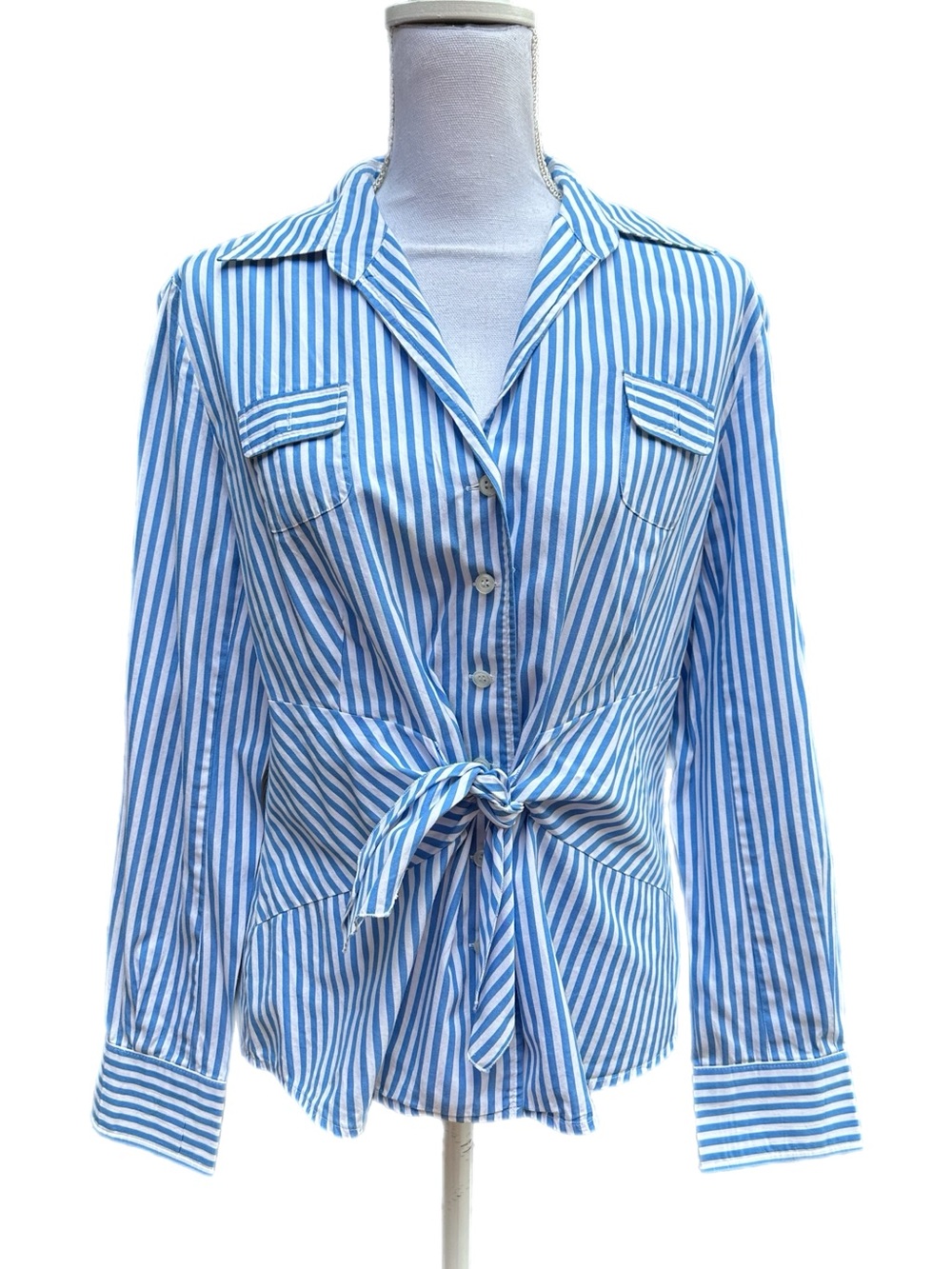 Carlisle Blue and White Striped Tie-Front Button Down Shirt